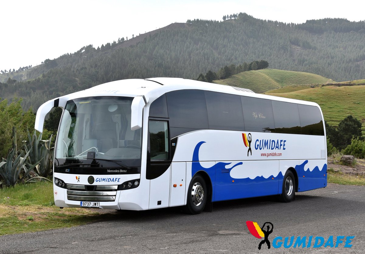 Servicio de Guagua African Party